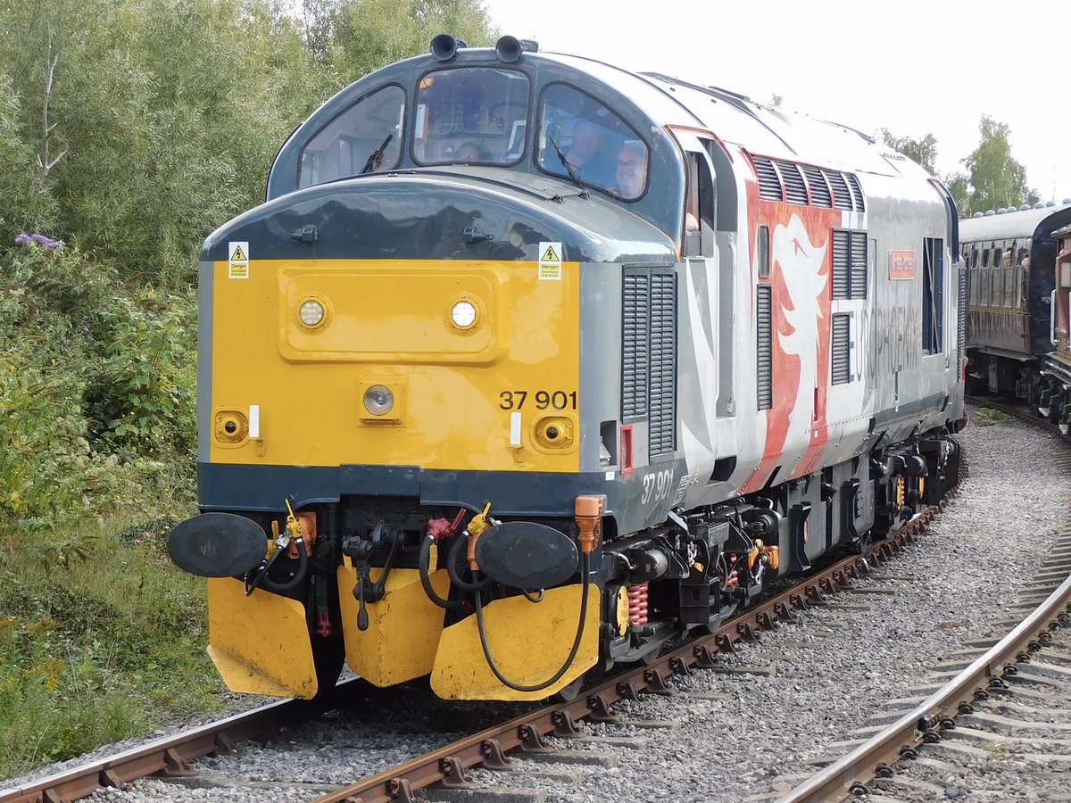 kingy69beard tweet media