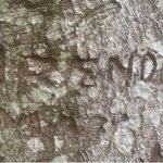 Photo by New Forest Archaeology (@NewForestArch)