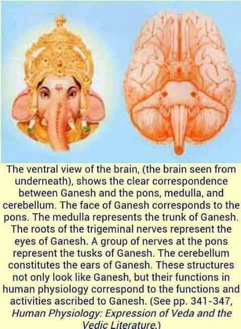 Luca62792155's tweet photo. Jai Shri Mataji 🙏😇❤️ https://t.co/Z0b9cWmmOV