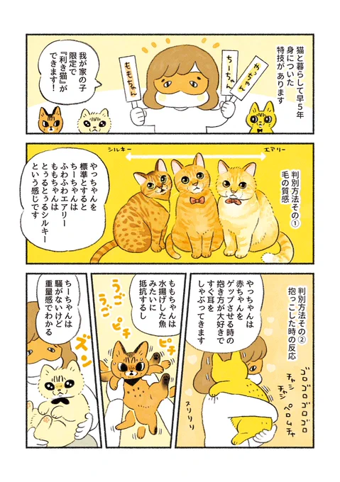 視覚意外でも飼い猫を判別できます🐱 
