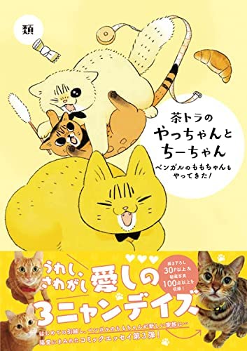 『茶トラのやっちゃんとちーちゃん〜ベンガルのももちゃんもやってきた!』発売中です!
描き下ろし30P以上、秘蔵写真100枚以上収録🐱
https://t.co/AXE8t53o33 