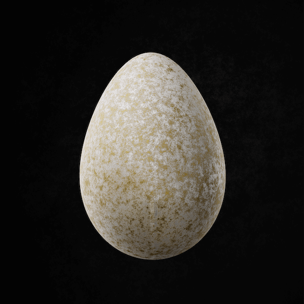 📣 Discord Competition 📣

Share your #DataDash App Egg to gain access to the exclusive #DataFunks @Discord where updates are posted first! 🙌

The top three eggs with the most likes will win!

✅ Follow
✅ RT &amp; Like
✅ Tag 2 friends
✅ Drop your egg in the comments 👇