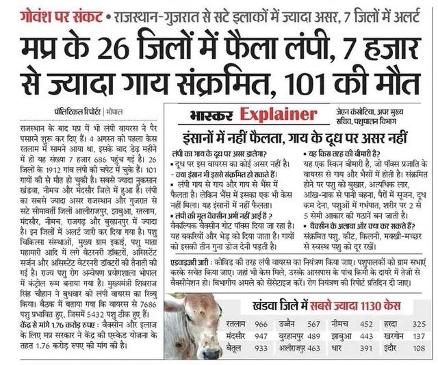 archanaj_mp's tweet photo. मध्यप्रदेश में गौमाता की दुर्दशा - 
प्रदेश सरकार कोरोना वायरस से लड़ने में नाकाम थी अब लंपी वायरस से लड़ने में नाकाम है! @INCMP https://t.co/Ri5YxJrHZk
