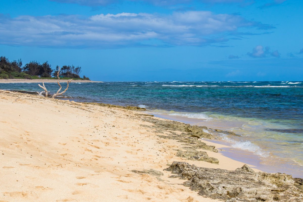 mainstgazette's tweet photo. We have to go back! (May 2021)
#mokuleiabeach #lost #lostbeach #flight815 #4815162342 https://t.co/ZgspP03ntn