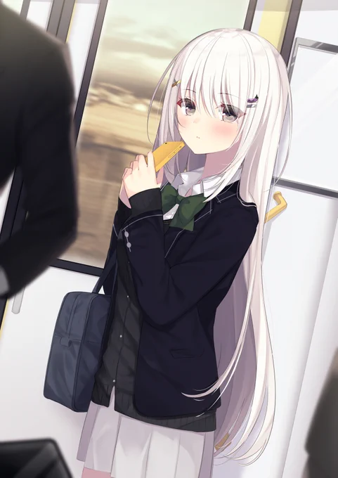 いつも帰りの電車で見かける子 