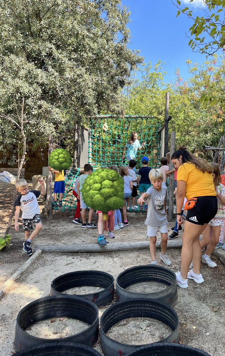 Sinds 1 september werk ik op de Nederlandstalige basisschool in Madrid. Het is zó leuk. Groep 4 met 12 kinderen. Nu zijn we op een zeer goed georganiseerd kamp waar wij leerkrachten in de watten worden gelegd. De kinderen beleven buiten avonturen. What a life! 💕🌳😊