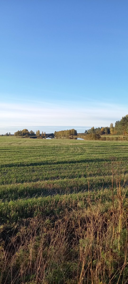 KjSorvisto's tweet image. Jokimaisemaa #Ylivieska #Raudaskylä eiliseltä iltalenkiltä. #Riippusilta on korjattavana, tärkeä kvl-väylä mm. koululaisille. Ruskaa vielä odotetaan🍂