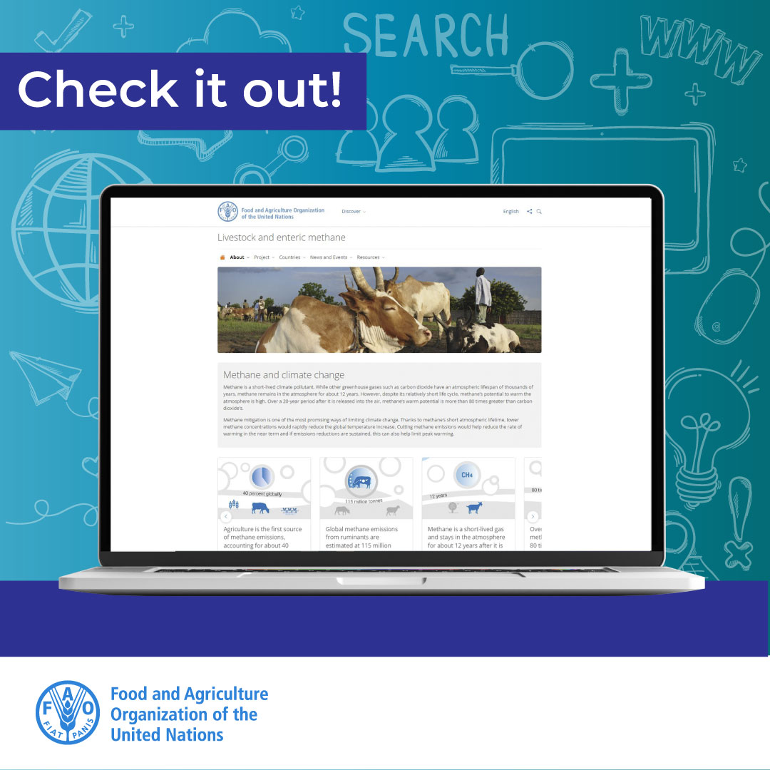 FAOLivestock's tweet photo. #DYK ? | 👀

@FAO launched a new dynamic website on livestock and enteric #methane with information on:

👨‍🌾livestock and climate change
🐮 the role of ruminants
🤝 best practices
🌍 country analysis
🐑 key facts and figures

Check it out ⬇️
https://t.co/80BQeKDsxN https://t.co/ilPy99ZGzR
