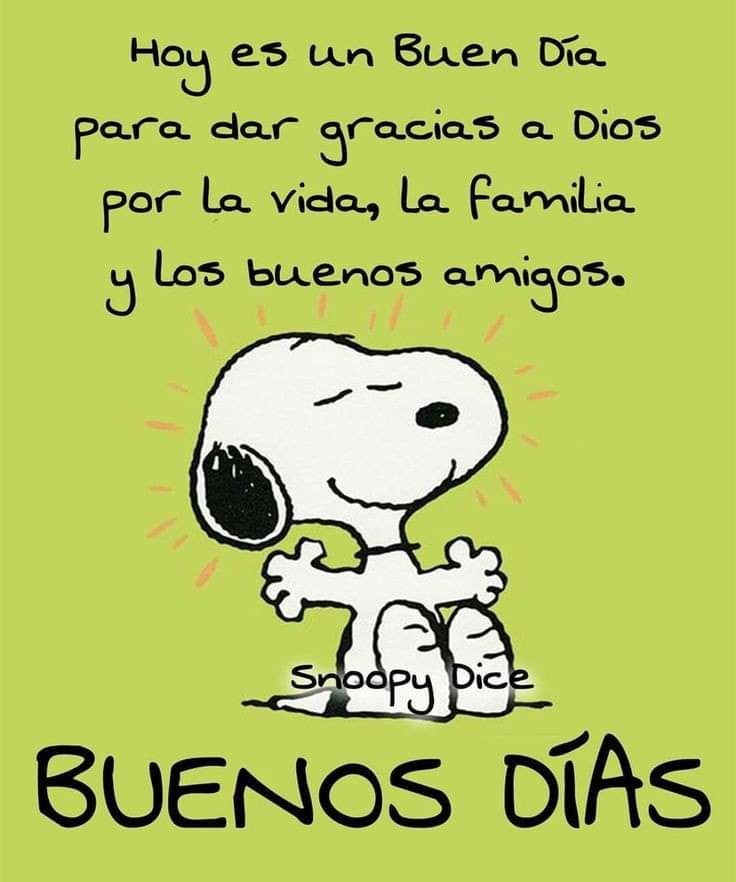 DelValleGreen's tweet photo. 🙇‍♀️❤️🌻♥️🙇‍♀️ https://t.co/6HS3L7r9KL