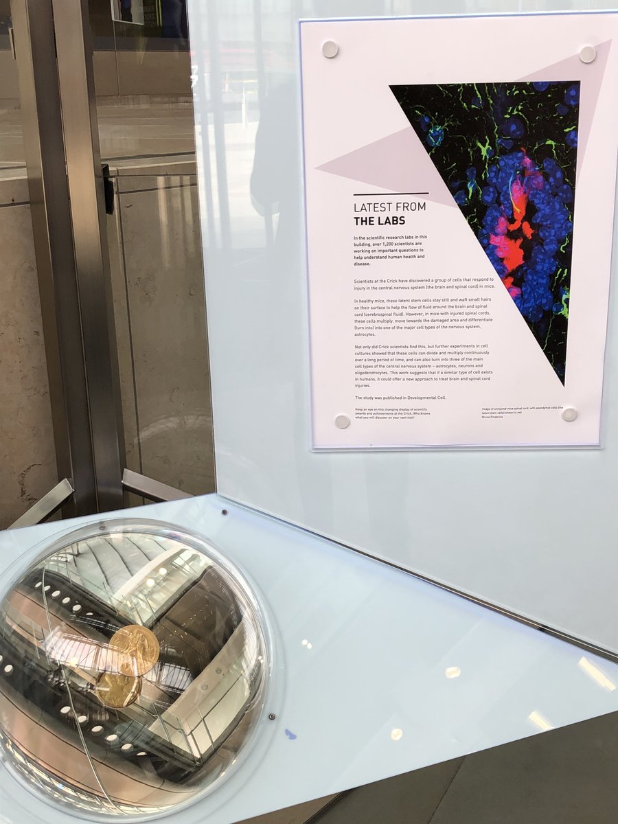 brunoagf's tweet photo. When your research is featured next to the Nobel prize medal. Surely, a good omen! @ReiseSousaLab @TheCrick https://t.co/NPDYba7kuC