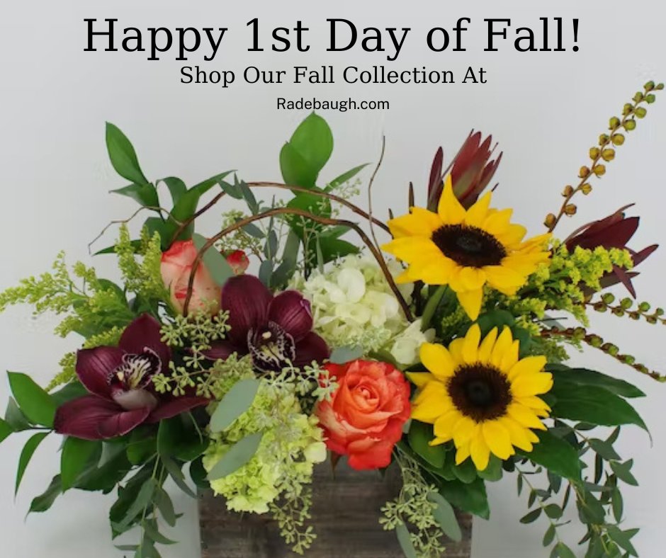 radebaughs's tweet photo. Today is the official first day of Fall! Send one of our new fall designs to someone's office or home to add fall beauty and color indoors.
#happyfall #fallflowers #radebaughs #greenhouses #towson #baltimore #marylandflorist https://t.co/uIx767rtAX https://t.co/ZMEXRFJr6C