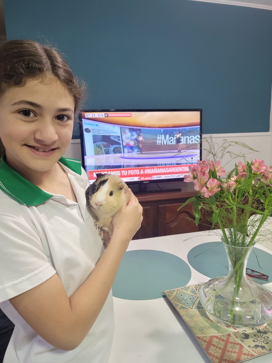 Daniela12146299's tweet photo. #mañanasargentinas Cata preparandose para el cole y Chipi haciéndole el aguante!! 🐹 https://t.co/MH85z0N5Ir
