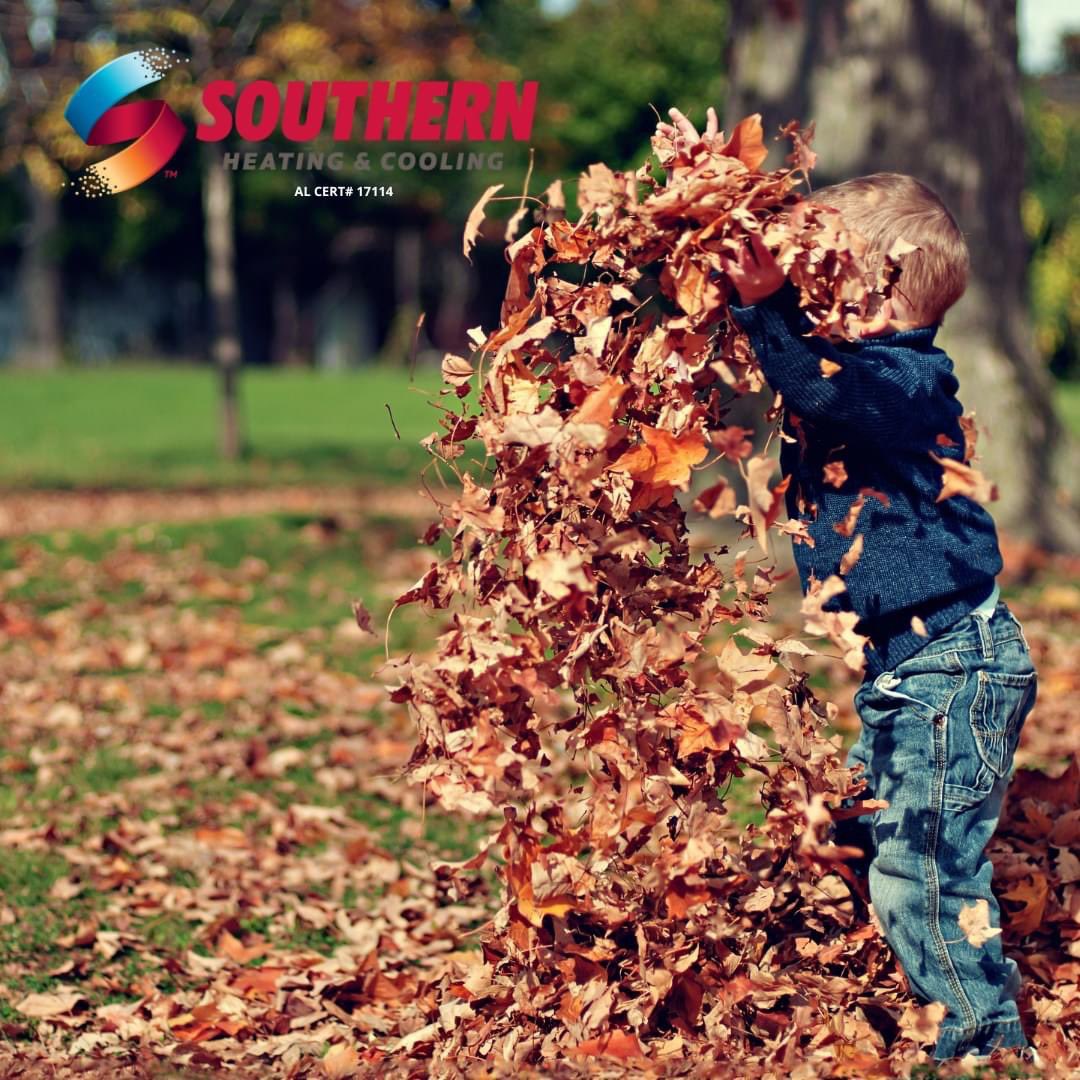 Today is the first day of #Autumn and that means beautiful trees and falling leaves! 🍂Remember to keep the #leaves cleared away from your outdoor condensing unit. Debris and moisture in and around the condenser can prevent the system from operating as efficiently as it should