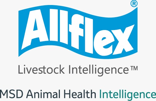 LivestockLrf's tweet photo. Thank you to our silver sponsor @allflex
@landbou @FarmersWeeklySA @Veeplaas1 @Absa @BKBLtd @UnistelMedical @CheckersSA @allflex @FarmRangerSA @Rooivleis @JohnDeereAfrica @Vytelle1 @CheckersSA @PannarSeedZA @Zoetis @Sparta_Beef @MolatekSA https://t.co/XPJBbW7Lso
