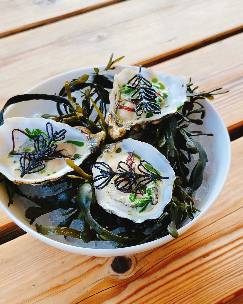 Zeeland oysters dressed with beurre blanc, chive oil, wild foraged sea greens, and Codium tuile. I'm a purist but could eat this every day. 🥰 #yerseke