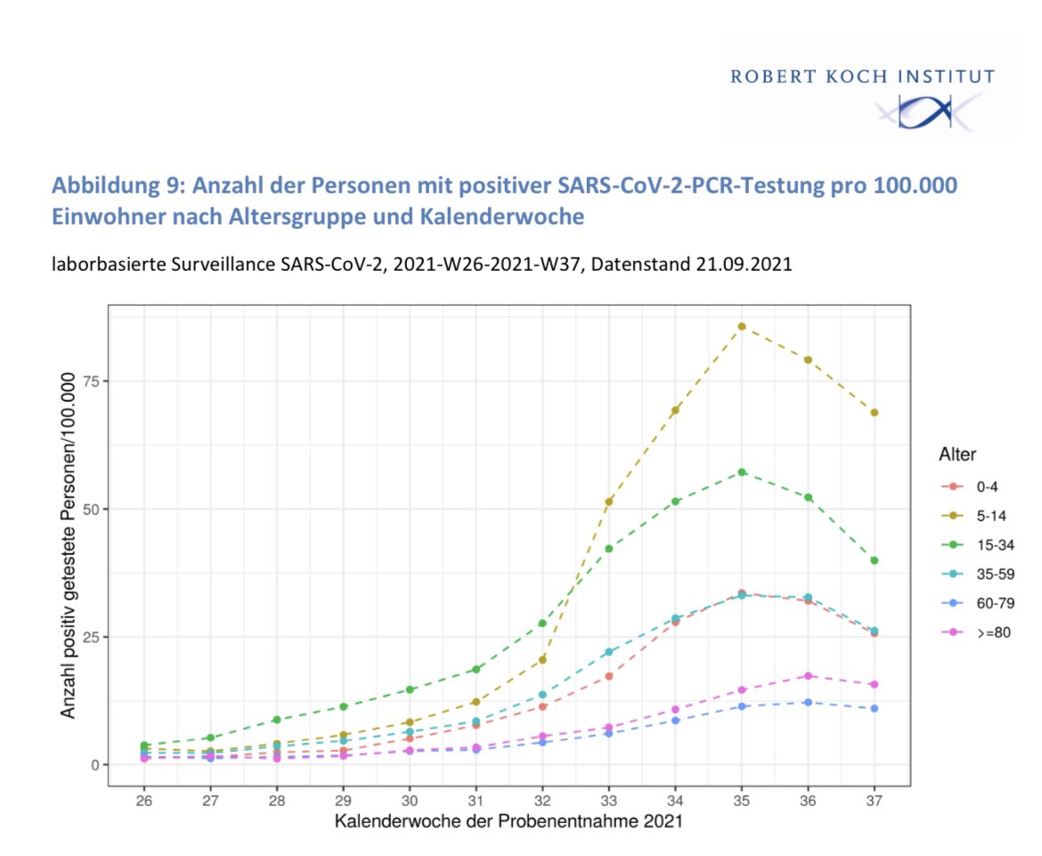 klaus_lindinger's tweet photo. Im Spätsommer vor einem Jahr begann die bundesweite #Testorgie mit #Pooltests an Grundschulen und Kitas sowie unzähligen #Schnelltests in den Betrieben.
Was sich seitdem getan hat, zeigt die #LaborSurveillance des RKI recht anschaulich: https://t.co/2UWUdb6fvo https://t.co/q7agi59FXR