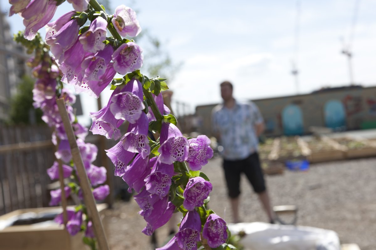 Groundwork London (@groundworklon) on Twitter photo Healthy soil ensures healthy crop 🌿 🌱
Come, join us for the second #GardenSession of <a href="/OurParklifeCIC/">Our Parklife</a> @noordianrypark #mobilegarden at 3 pm today <a href="/hackney_bridge/">Hackney Bridge</a> and learn about building a compost bay and a wormery. Participate in #OrganicSeptember month <a href="/GroundworkLON/">Groundwork London</a> style! Healthy soil ensures healthy crop 🌿 🌱
Come, join us for the second #GardenSession of <a href="/OurParklifeCIC/">Our Parklife</a> @noordianrypark #mobilegarden at 3 pm today <a href="/hackney_bridge/">Hackney Bridge</a> and learn about building a compost bay and a wormery. Participate in #OrganicSeptember month <a href="/GroundworkLON/">Groundwork London</a> style!