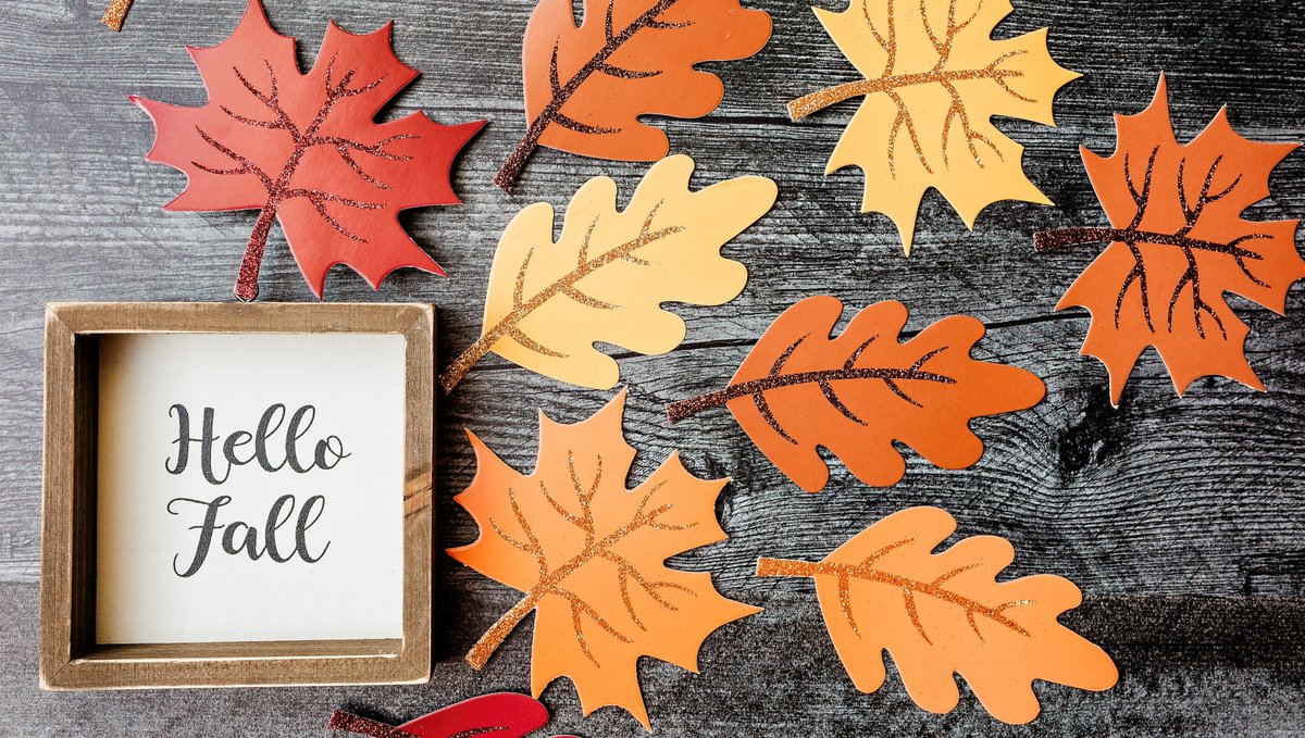 StudentNh's tweet photo. “Autumn leaves don't fall, they fly. They take their time and wander on this their only chance to soar.”  ~ Delia Owens, Where the Crawdads Sing https://t.co/lBJnc3yj0X