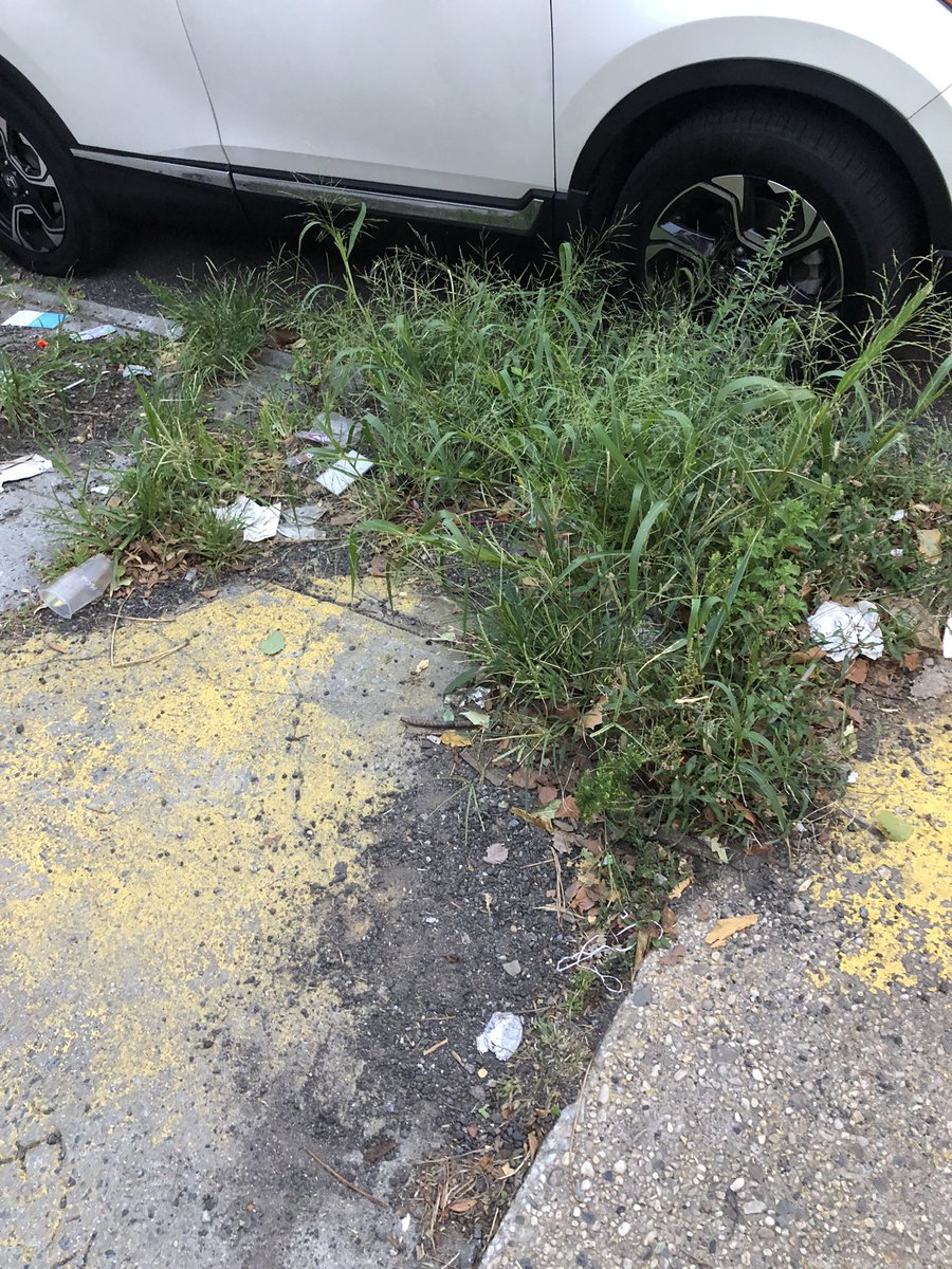 karabuller's tweet photo. @NYCParks @pieceofcakemove Meanwhile, in front of piece of cake in Bushwick… can you please care for your surrounding area? https://t.co/tpcQ6h9Ip6