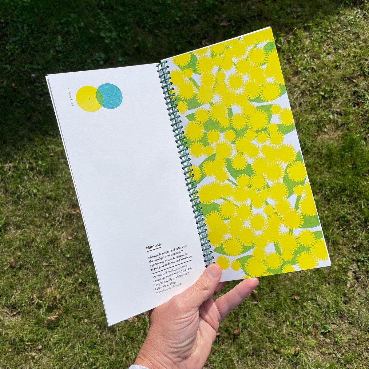 Some lovely post courtesy of <a href="/scouteditions/">Scout Editions</a> - grab a copy of ‘Flowers’ here: scouteditions.co.uk/specialedition…