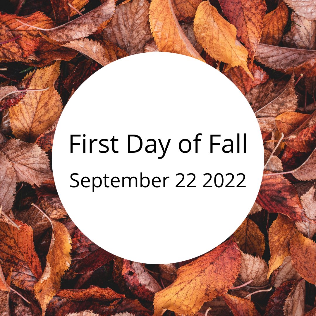 BrianTDavisFC's tweet photo. Happy Fall! https://t.co/J84xOmTLIP https://t.co/4Z6umWT5Lu
