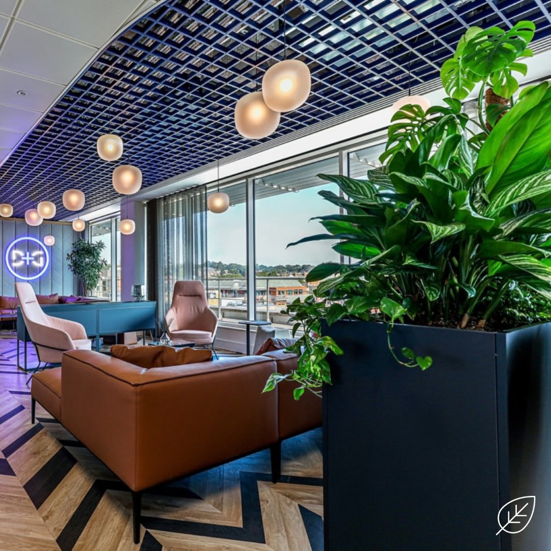 Interior, exterior, living walls and more! #TeamPlantPlan does it all 🟩🌿🌴

#Officedesign #Officeplanting#Interiordesign #Biophilia #Plantingdesign