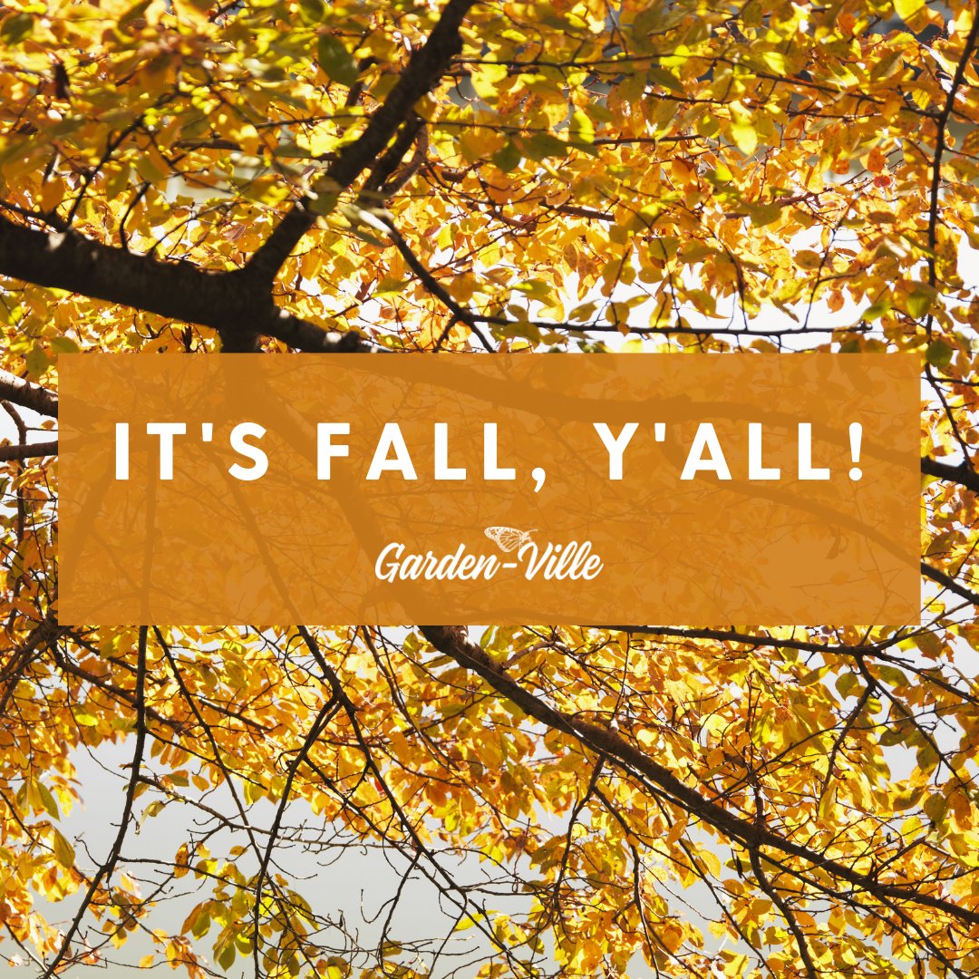 Fall has arrived! 🍂 Hopefully cooler weather will follow. 😉

#fallishere #texasfall #itsfallyall #fallequinox
