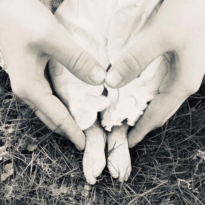 ImogenAdderley's tweet photo. 'We are in a culture that celebrates arrival, rather than the journey, which got you there.' 

It's six months since Joseph Jesse went to be with Jesus. I have not arrived anywhere on this crazy grief journey. Perhaps, though, I'm on my way &amp; finding glimpses of hope as I go 🌻💕 https://t.co/HUmLTXpVCP