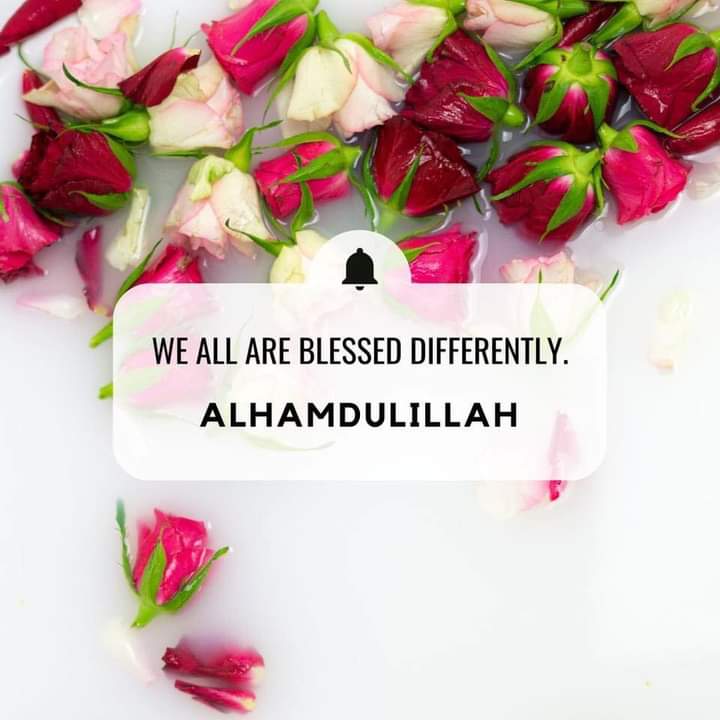 PrincessMoushi1's tweet photo. 🌹﷽🌹

     ❤🌹❤الســـــــلام علیـــــــکم و رحمۃ اللہ و برکاتہ ❤🌹❤
..
..
*...."May ALLAH Bless You And Your Family. Remember Me And My Family In Your Duah"....*
..
#Always_Say_ALHAMDULILLAH_For_Everything.
🤲📿❤❤❤❤😇😇😇😇 https://t.co/ryajQ235Hf