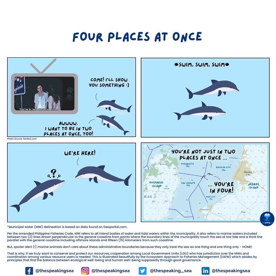 thespeaking_sea's tweet photo. AWWWW. Sana mag-keep up na man ang LGUs and the new administration sa mga grand gestures for our marine resources 🥹 

#sdg14 #sdg #eafm #saveourseas #dolphin #marinemammals #scicomm #saveourseas  #bycatch #lifebelowwater #marinelife #morefishnotplastic #atinangkinse #iuufishing https://t.co/a9FGcDzwTf