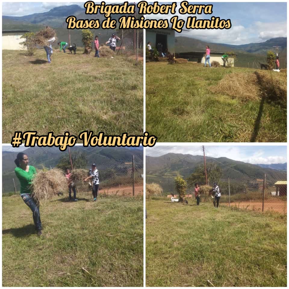 Trabajo Voluntario
Bases de Misiones los Llanitos Los Brigadista Robert Serra de la comunidad los Llanitos punto y círculo de base de misiones activa en la limpieza de la escuela.Trabajo Voluntario que hace la juventud Robert 
#Bases de Misiones <a href="/soy_urquia/">Maye Arias</a> <a href="/AdolfoP_Oficial/">Adolfo Pereira Gobernador</a>