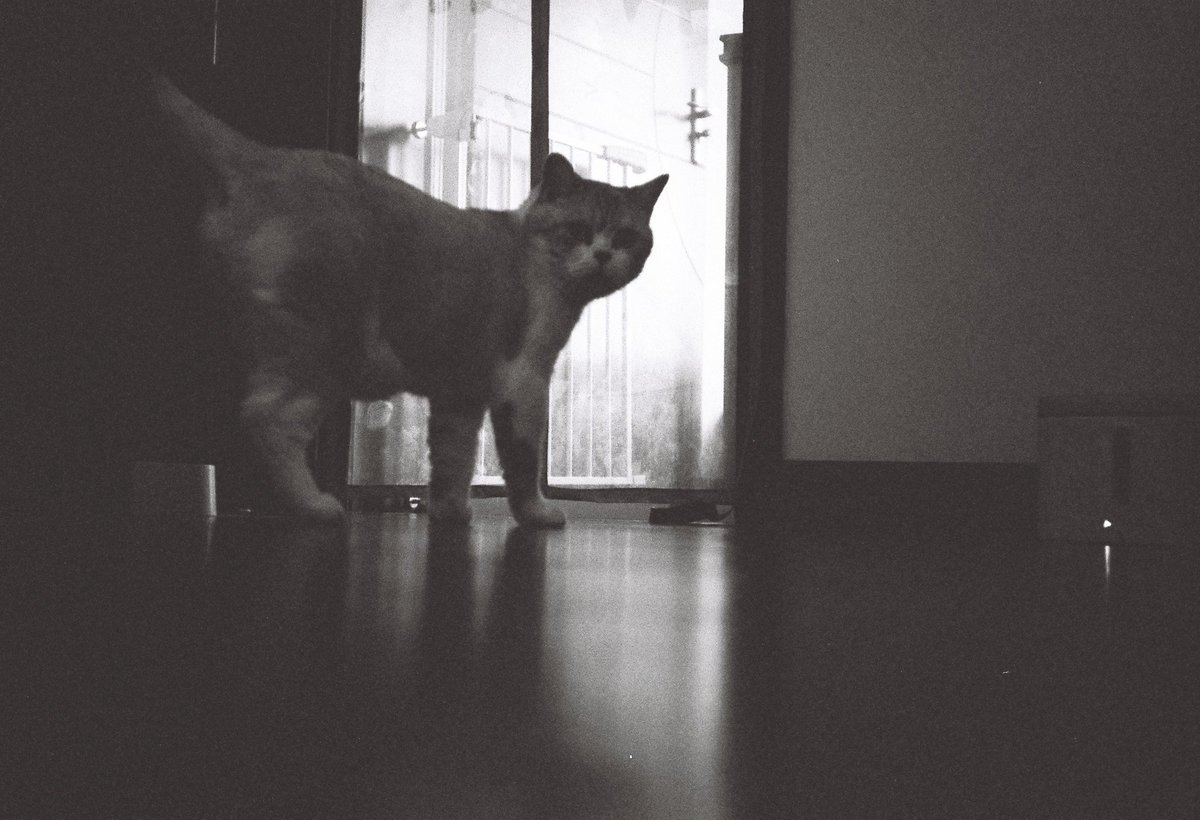 stanlucn's tweet image. 好久没来了，现个身。