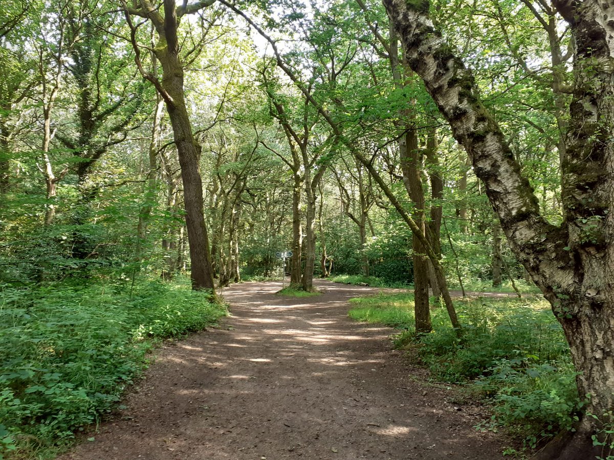 We have a short letter in @Nature today, arguing that we need long-term🌟social-ecological data🌟 to understand forest change – and that combined social-ecological research remains woefully under-funded. With Geoff Wells & @Casey_M_Ryan doi.org/10.1038/d41586…