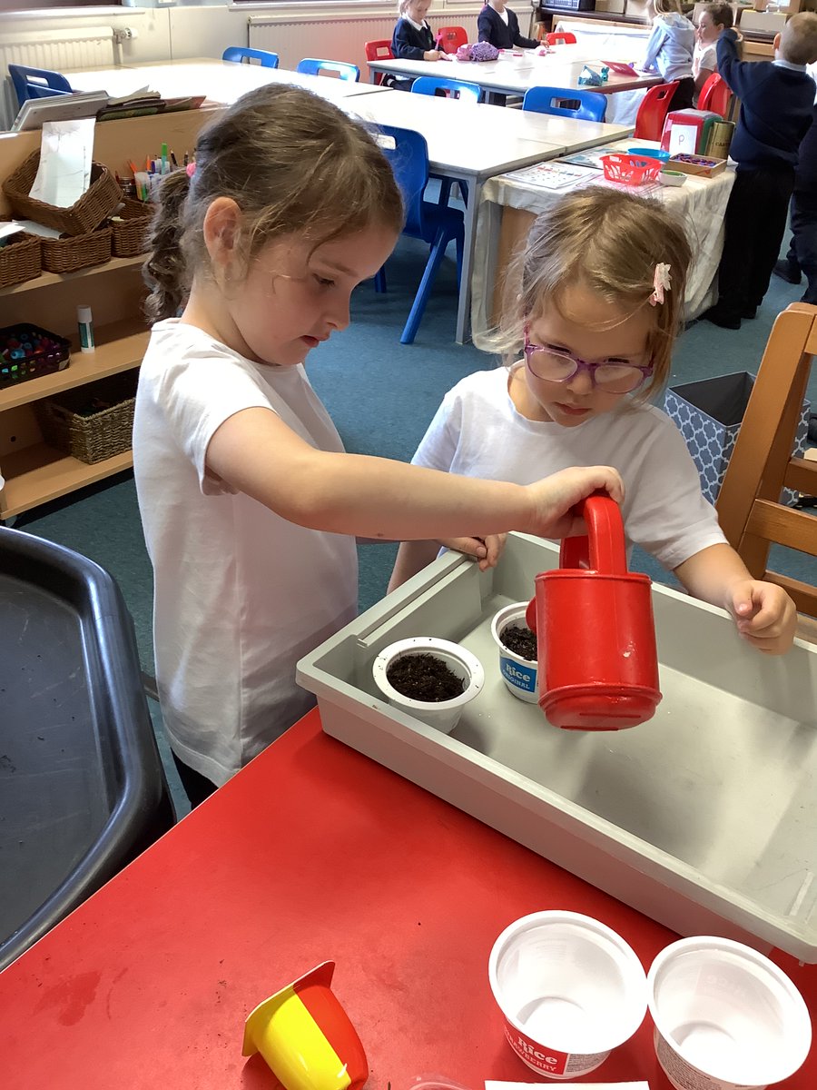 MrsMacaulayCPS's tweet photo. Primary 1 have been learning about what plants need to grow. Today we planted some cress seeds. We can't wait to watch them grow! 🌱 @carmondean_ps https://t.co/ObEuCmszYp