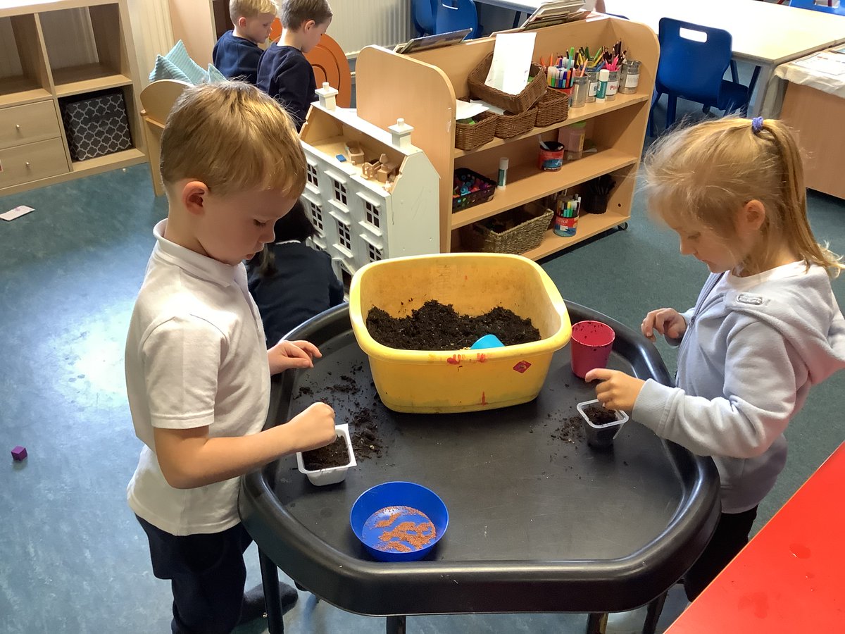 MrsMacaulayCPS's tweet photo. Primary 1 have been learning about what plants need to grow. Today we planted some cress seeds. We can't wait to watch them grow! 🌱 @carmondean_ps https://t.co/ObEuCmszYp