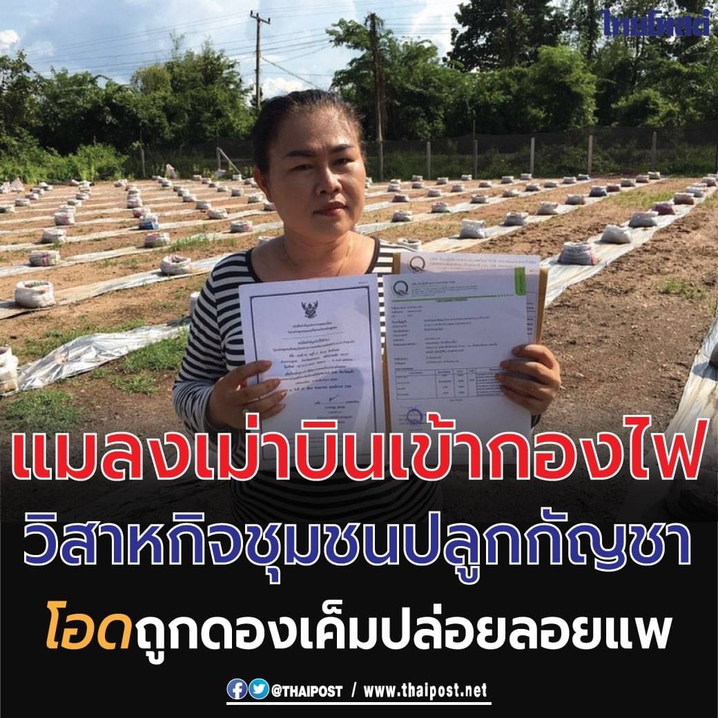 acatsssss's tweet photo. โดนไอ้หนูเท รึ https://t.co/NV7ZkmGIps