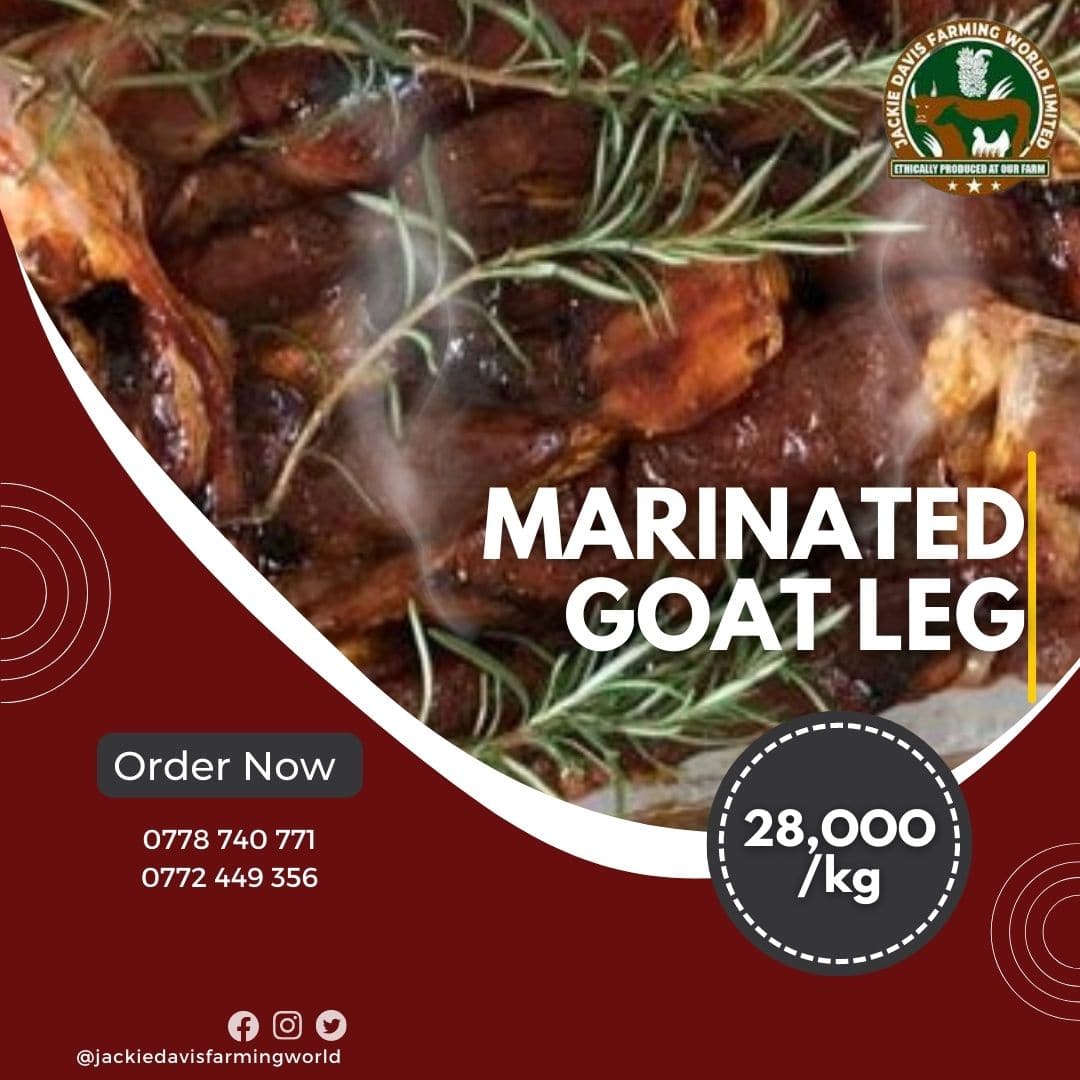 JDfarmingworld's tweet photo. Marinated meats is a sign that you will have tender and more tastier and flavorful meal
#marinatedmeat
#organicproduce
#JDfarmingworld https://t.co/UHn7wW4mL4