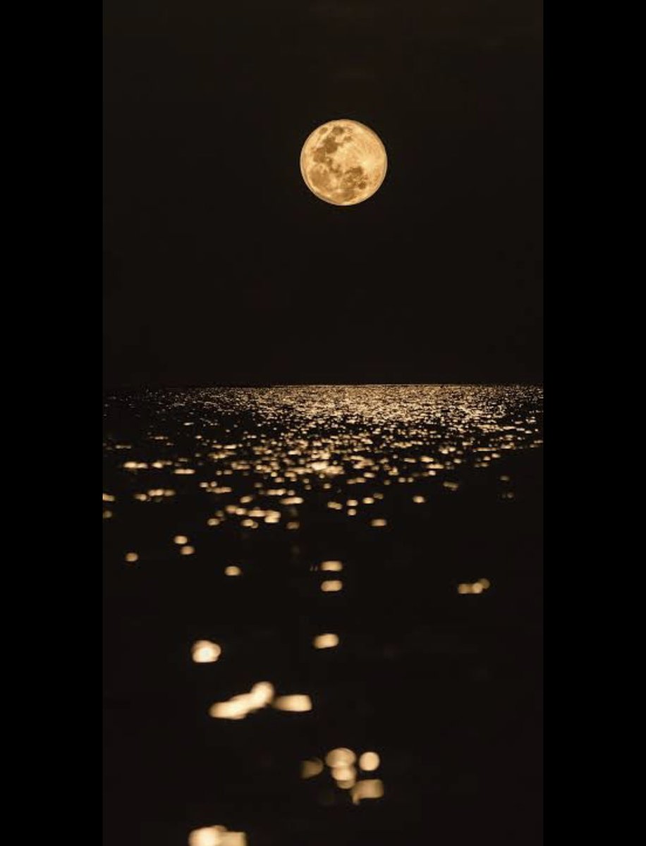 #CR1 moon week 🚀🚀🚀 

Between 24-30 September 🤝

0x74A740257DaC46f1c378eb81Fc2A86F4aaf2b3B1

Buy from #pancakeswap 

NFA&amp;DYOR 🤝

#BNB #DeFi #binance #BSC #Crypto #ToTheMoon #BSCGems