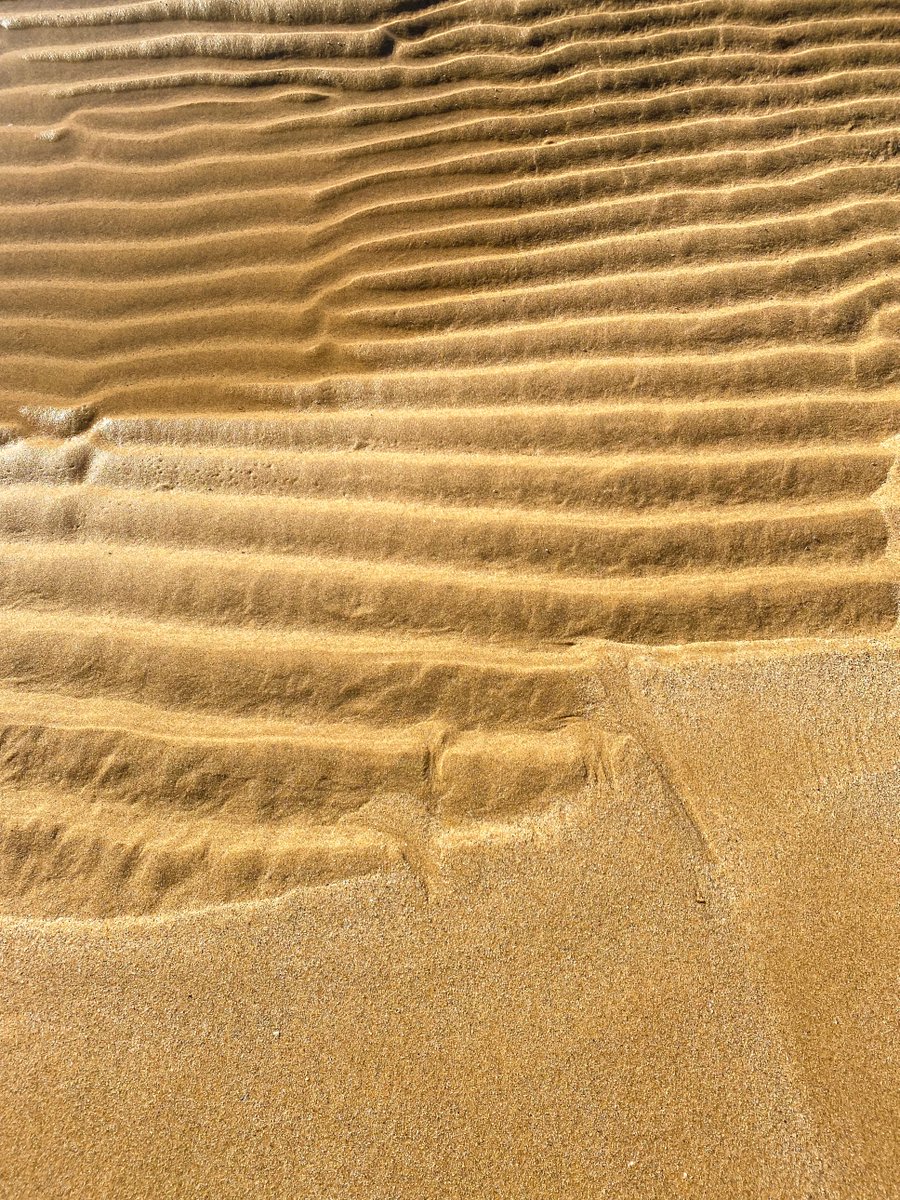 thedividingline's tweet photo. #EarthPrint.
#SanFelipe #BajaCalifornia #Coast #SeaofCortez #TravelPhotography #NaturePhotography #Prints #Beauties #Sand. https://t.co/Fk19bsHOiu