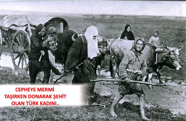 NE BİLSİN ŞERİFE BACI... 

16 Yaşında evlenmişti Şerife.
Düğününün üzerinden 2 ay geçti, savaş başladı. Kocasını askere aldılar. 6 ay sonra şehit düştü kocası... Kimsesiz Şerife’yi genç yaşta yalnız kalmasın diye köyün yaşlıları , bir savaş gazisi ile evlendirdiler.