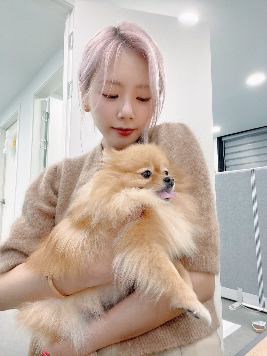 bbaJIU's tweet photo. 🤍 https://t.co/ZfxtS6b0IB