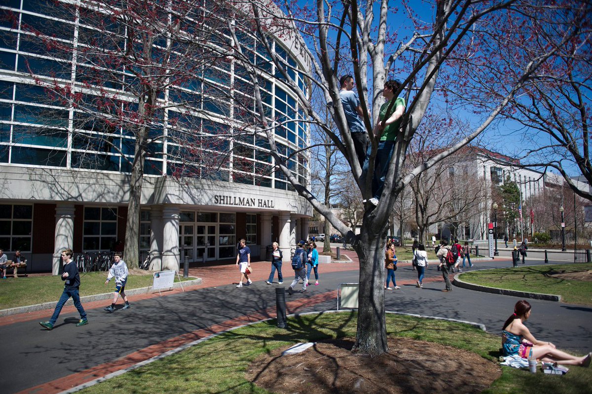 Northeastern University London tweet media