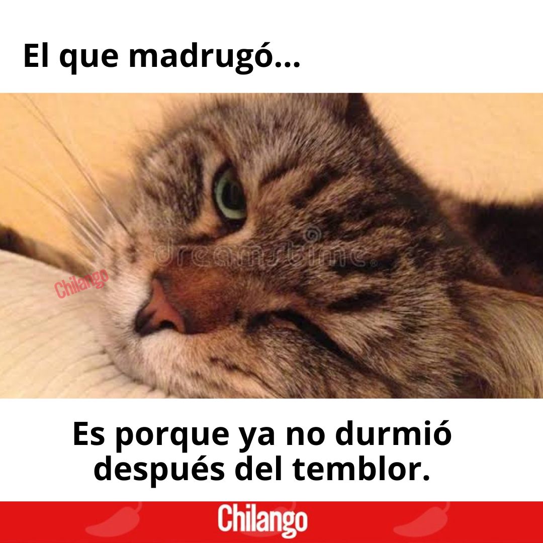 ChilangoCom's tweet photo. Lechuga como frescos, ¿verdad? 😣 https://t.co/ObwPREWMvQ