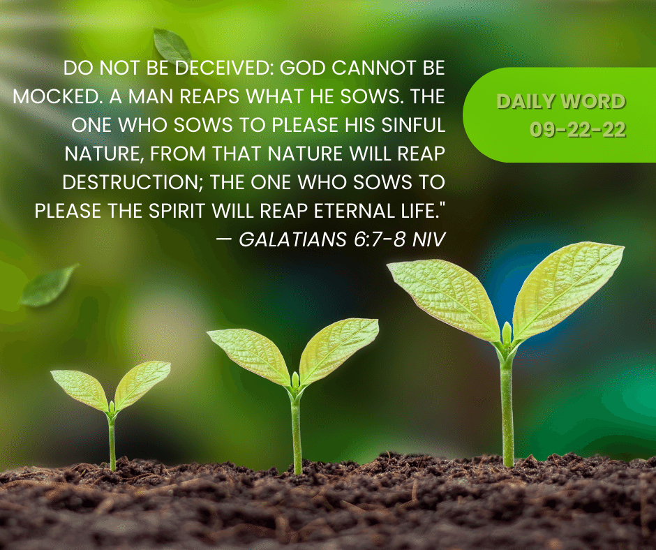 FourthBaptist's tweet photo. Today's Prayer.
God, who lived before time began and who will be the Great I AM when time is no more, bless the seeds I sow that they may bear fruit to you and bless those I love. Through Jesus, the grain of wheat who died and was buried so that true life may flower forth. Amen. https://t.co/DphIM880ut