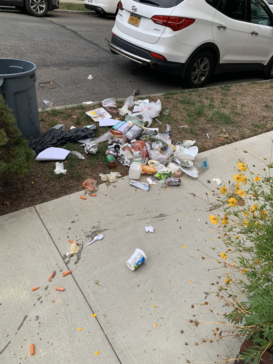 MarkGriffithMPA's tweet photo. @NYCSanitation I am a big supporter of public service workers as I am one myself.  But seeing my local sanitation worker in Midwood Brooklyn drag my neighbors garbage, infront of my house and have the bag tear just to stare at it and walk away!!!  311 says 5 days until cleanup!!! https://t.co/YXTewY2nML