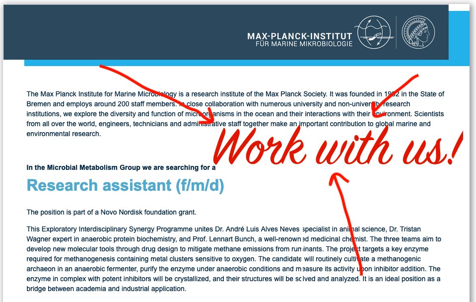 We have your job! 🧑‍🔬🧪 Our #Microbial #Metabolism Group looks for a #Research assistant (f/m/d) to develop new molecular tools to mitigate #methane emissions from ruminants. Learn more & apply here: career.mpi-bremen.de/jobposting/6b4… #Bremen #enzyme #methanogenesis #sciencejobs #jobs
