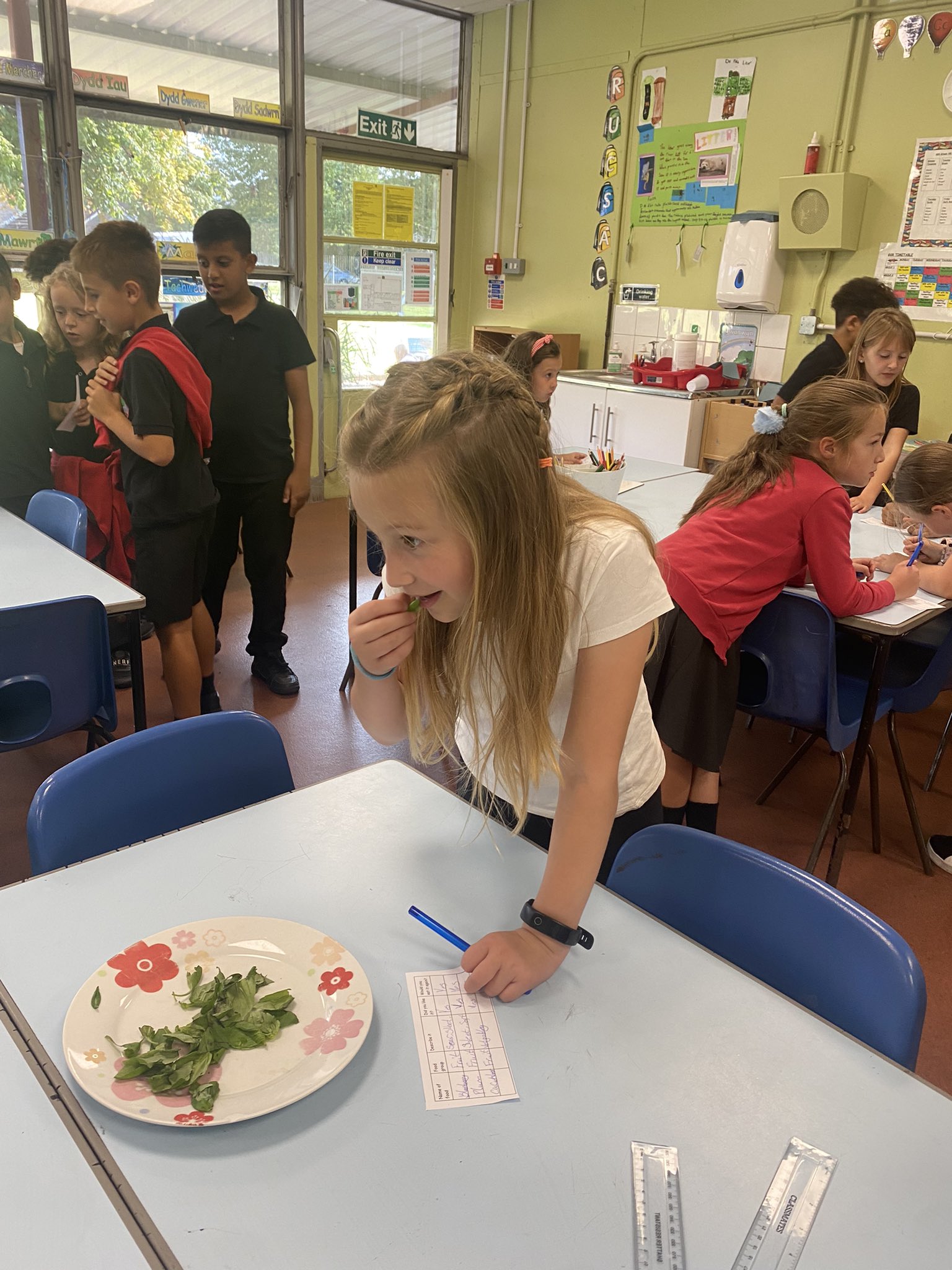 ton-yr-ywen-primary-on-twitter-year-4-thoroughly-enjoyed-the-launch
