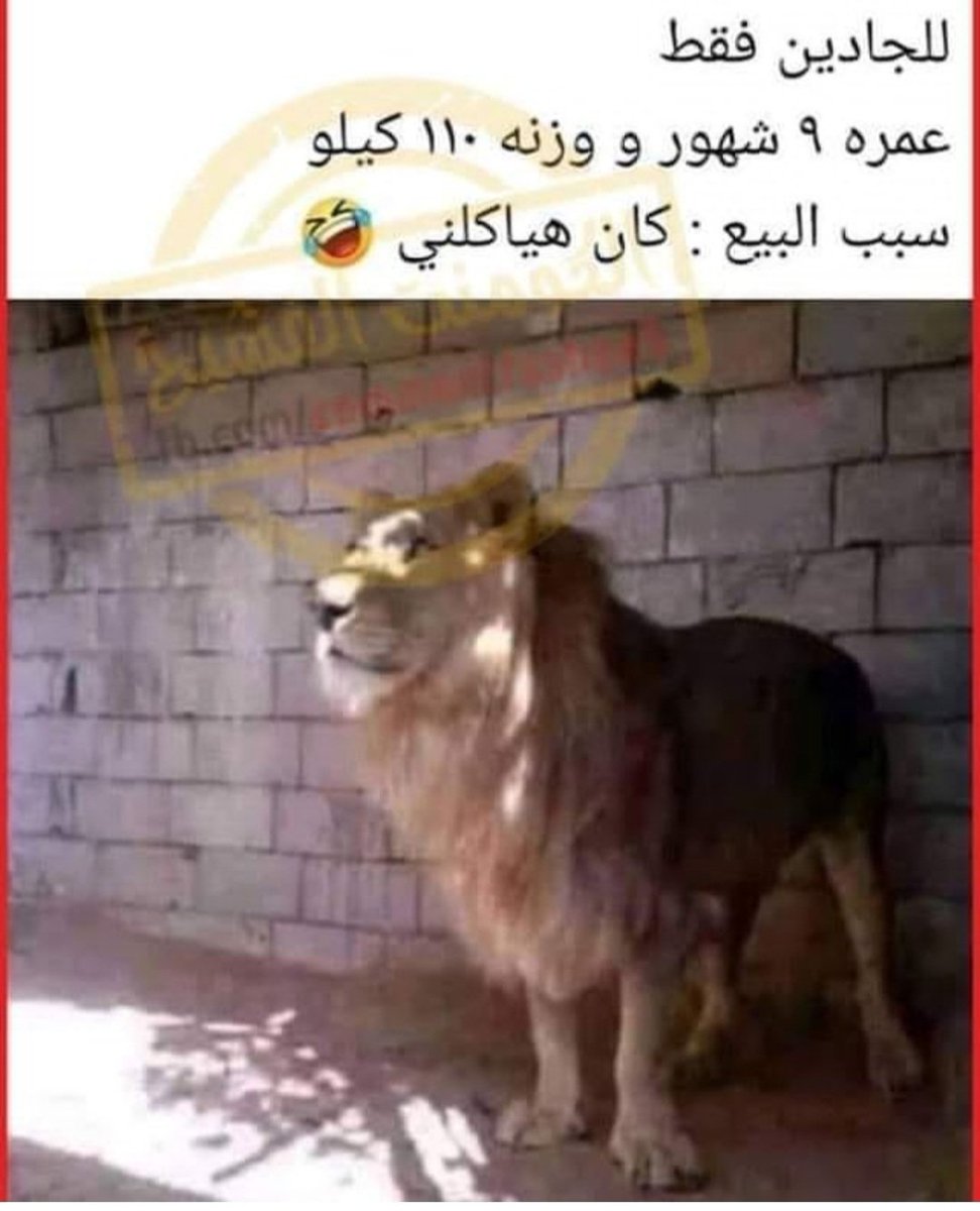 مجدى عماره tweet media