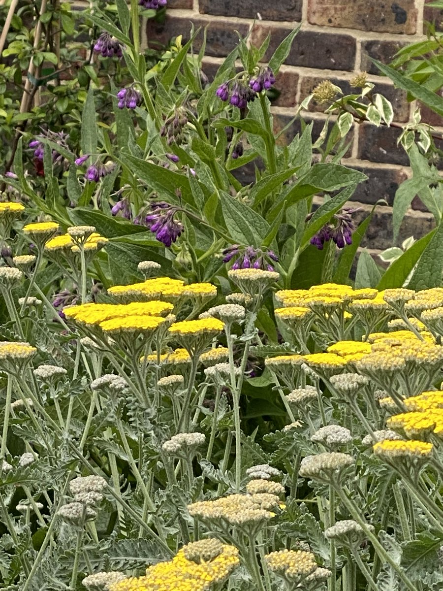 wrightarb's tweet photo. Come see our work at the London Cancer Hub Innovation Gateway. Thrilled to be part of the landscape scheme for Europe's largest oncology district 
https://t.co/5rMIDecQHU 
See our designs and planters featuring medicinal plants https://t.co/WoJFhb6Jhr
 #londoncancerhub https://t.co/p6byNYxiQW