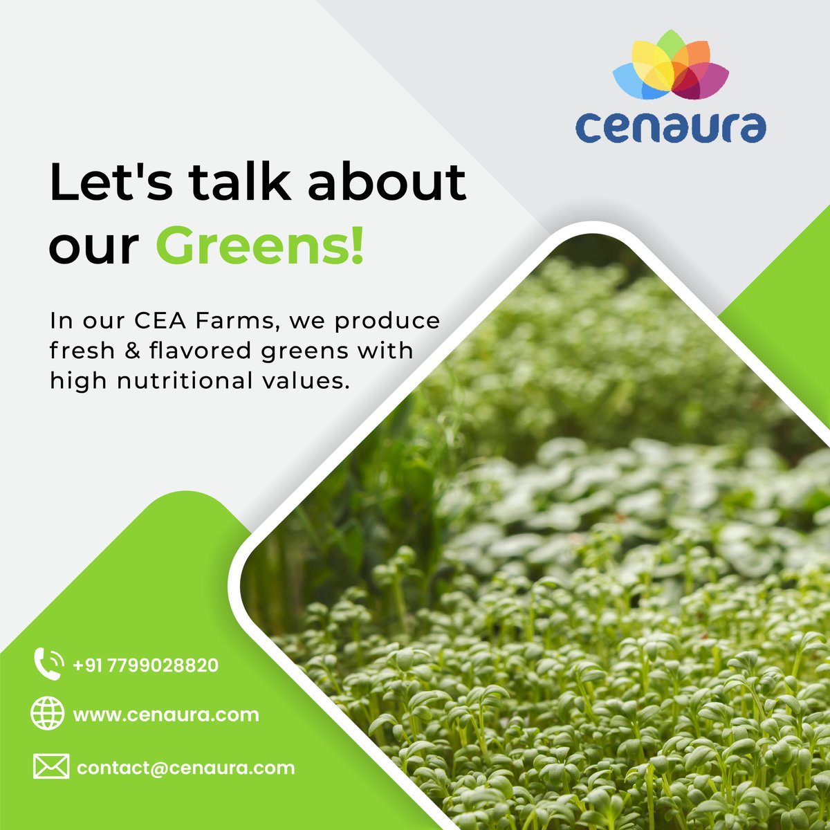 cenauratech's tweet photo. LET'S TALK ABOUT OUR GREENS
#greens #green #nature #vegan #healthy #food #s #healthyfood #foodie #instagood #veggies #plantbased #salad #photooftheday #health #healthylifestyle #plants #organic #money #capital #bank #crisp #cash #benjamins #vegetables #foodporn #benjamin https://t.co/xmE3ucrfbC